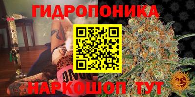каннабис Бузулук