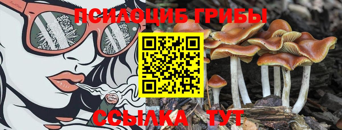 Новороссийск  Галлюциногенные грибы мухоморы  Вход с VPN 